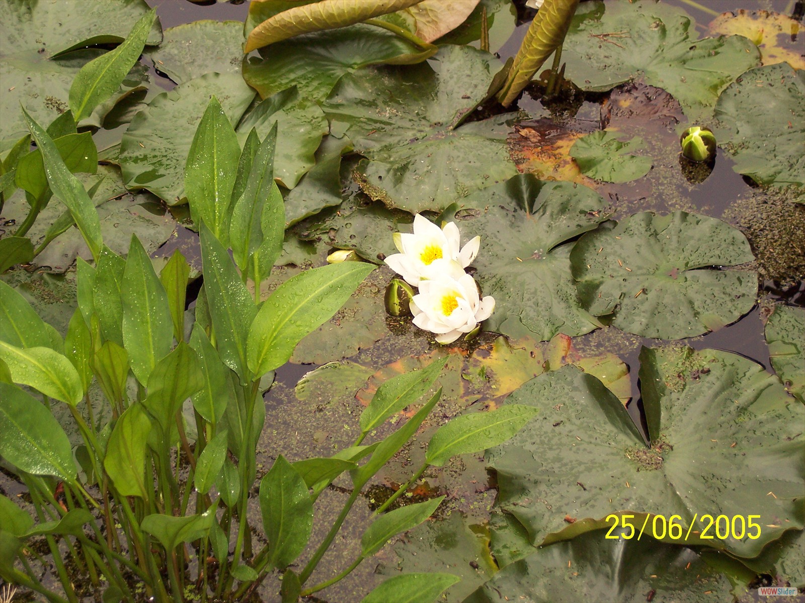 100_0662