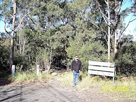 Killarney Heights Bushwalk