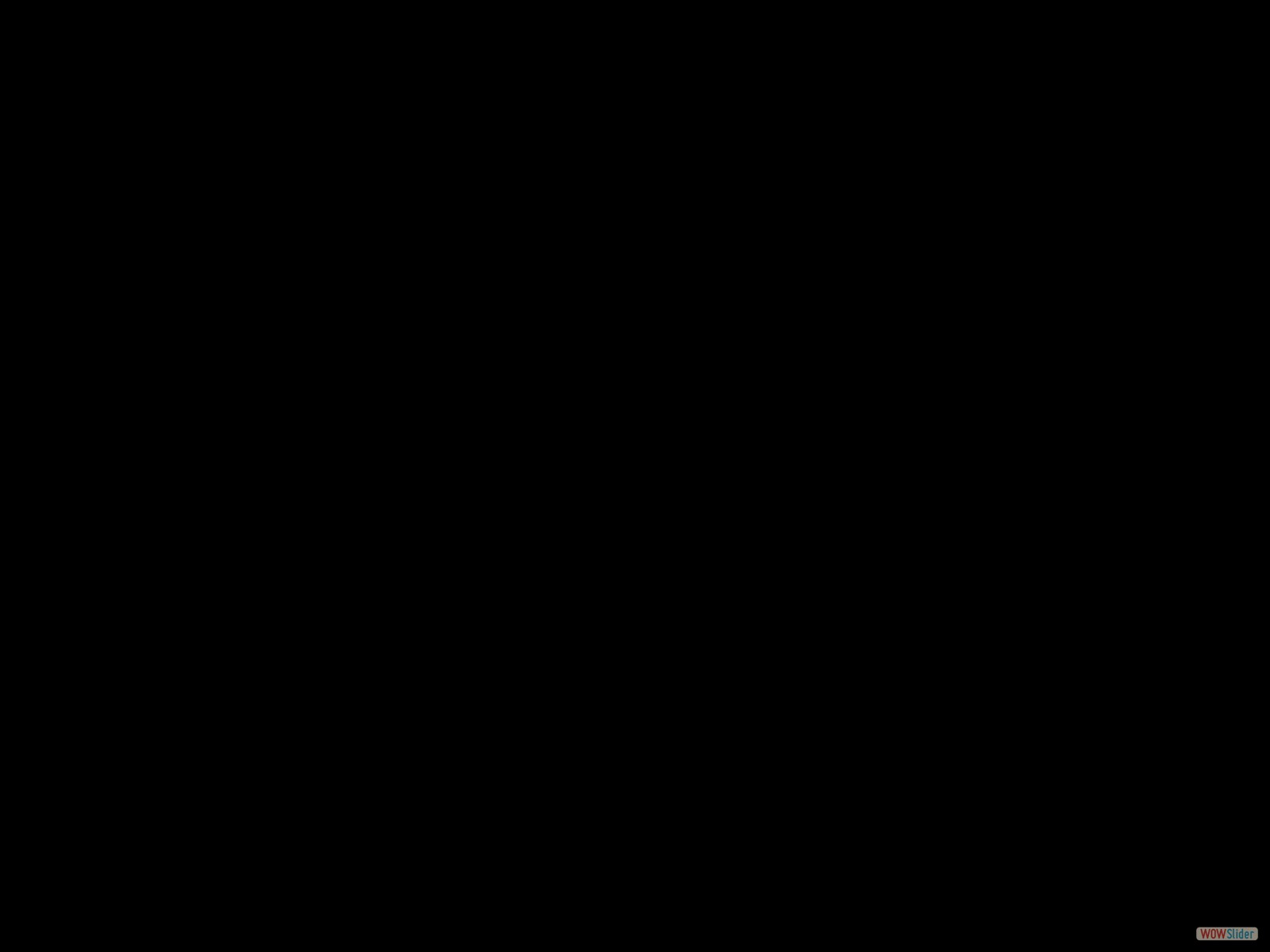 100_2004