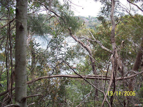 Bushwalk