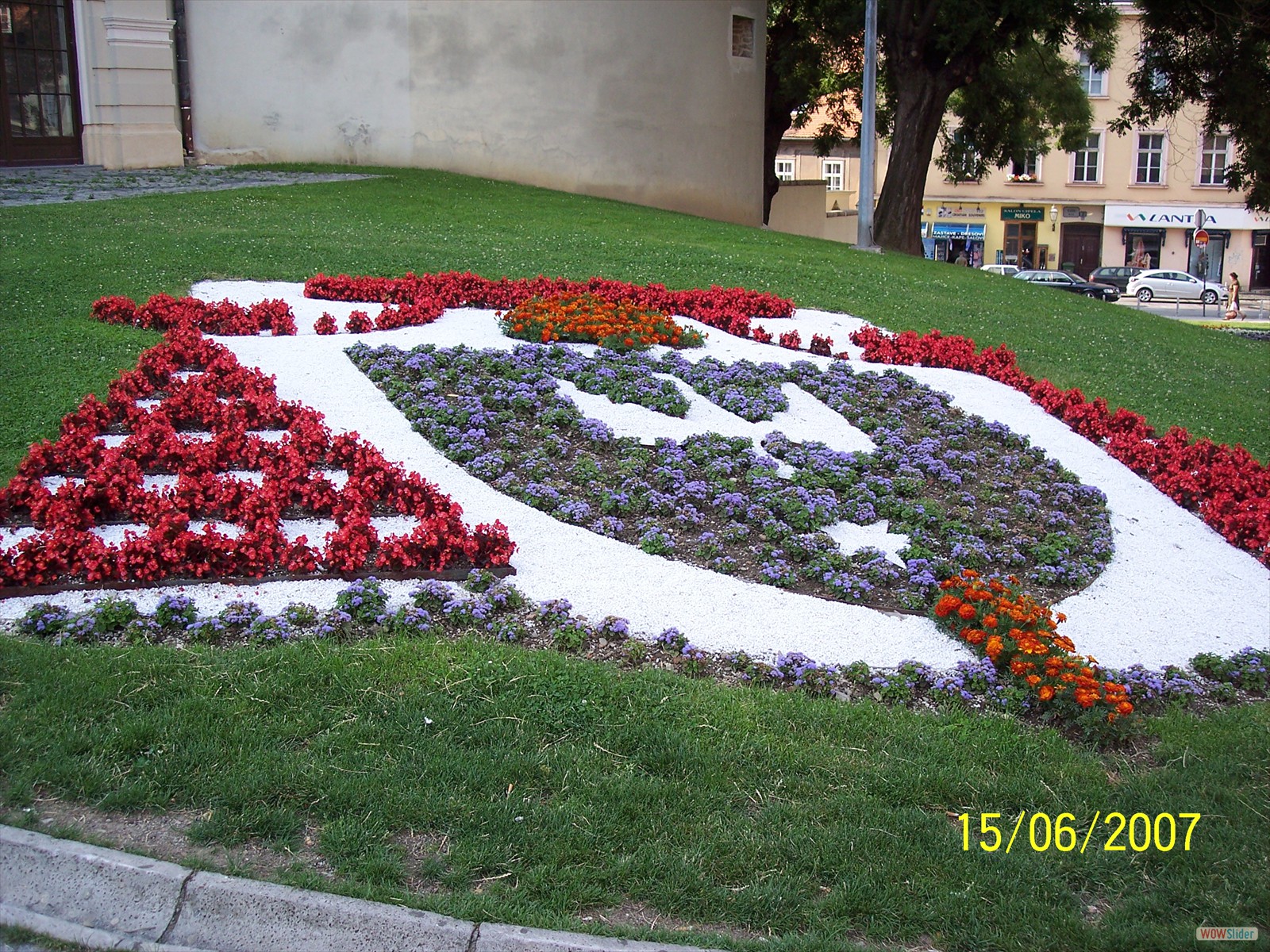 Picture 311