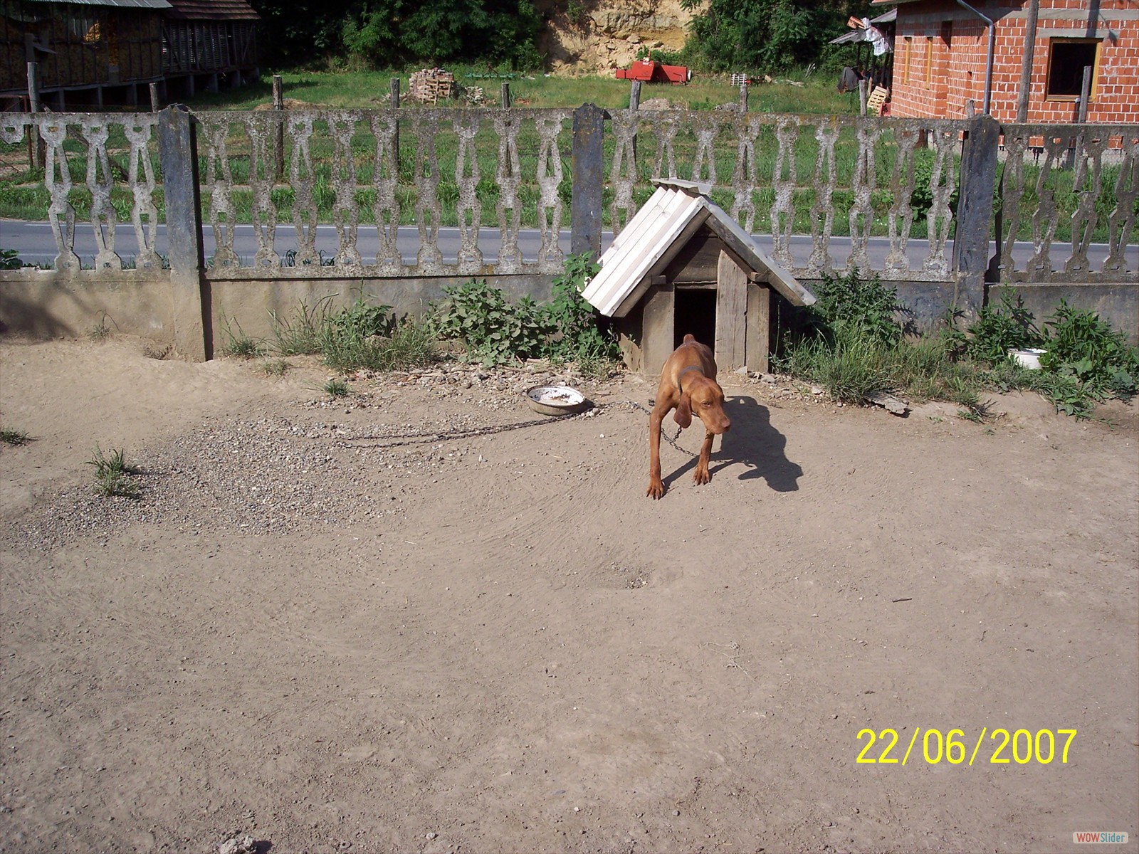 Picture 002