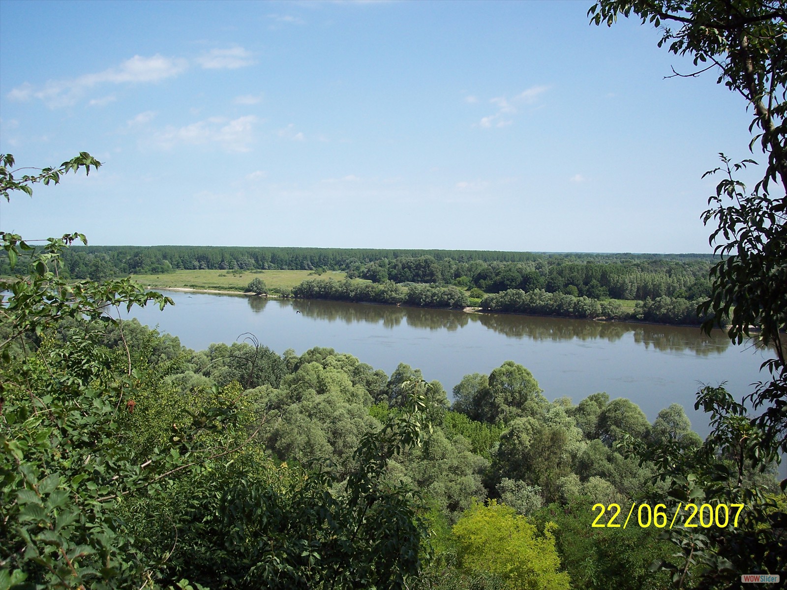 Picture 005