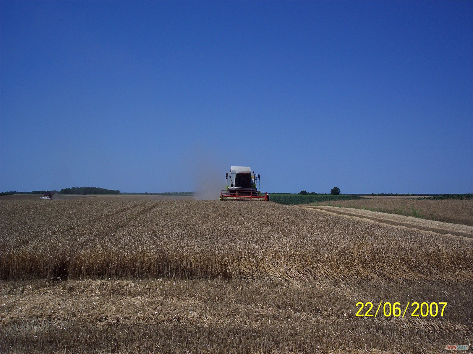Picture 009