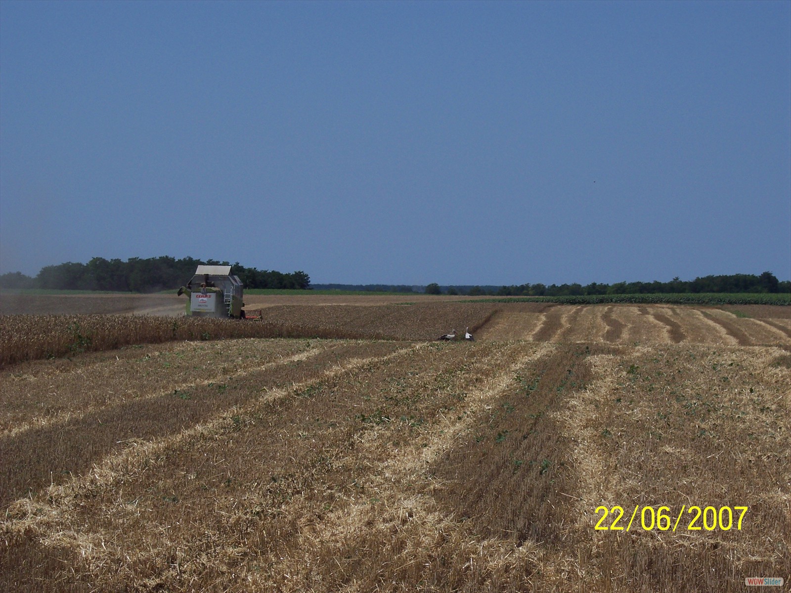 Picture 014