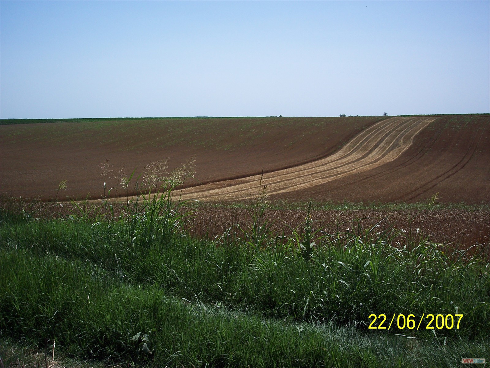 Picture 016