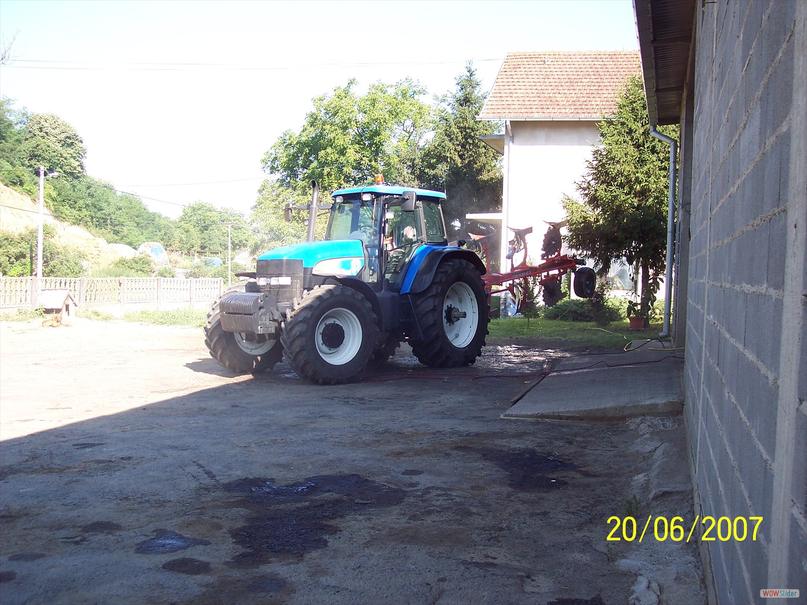 Picture 361