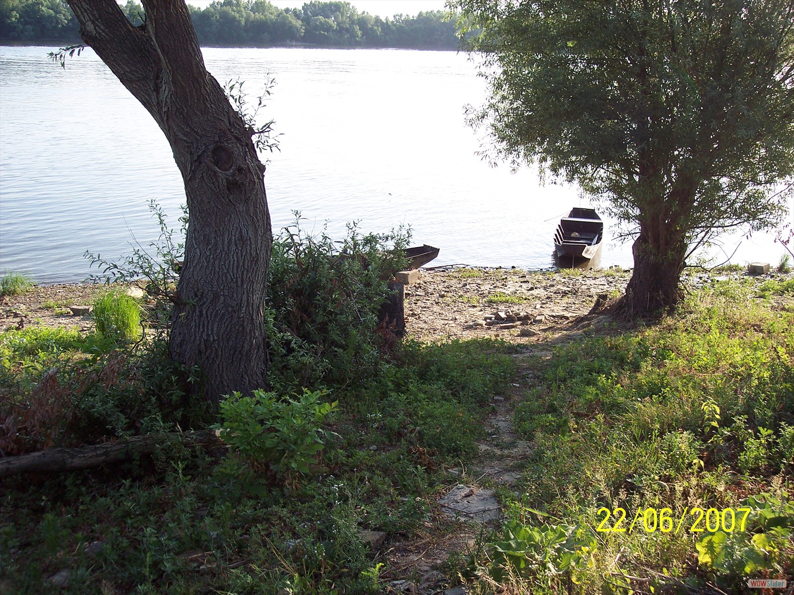 Picture 374