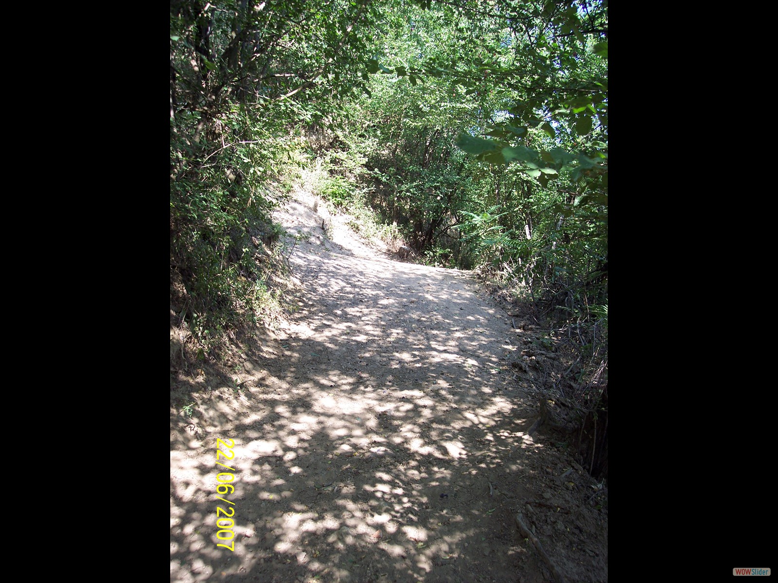 Picture 383