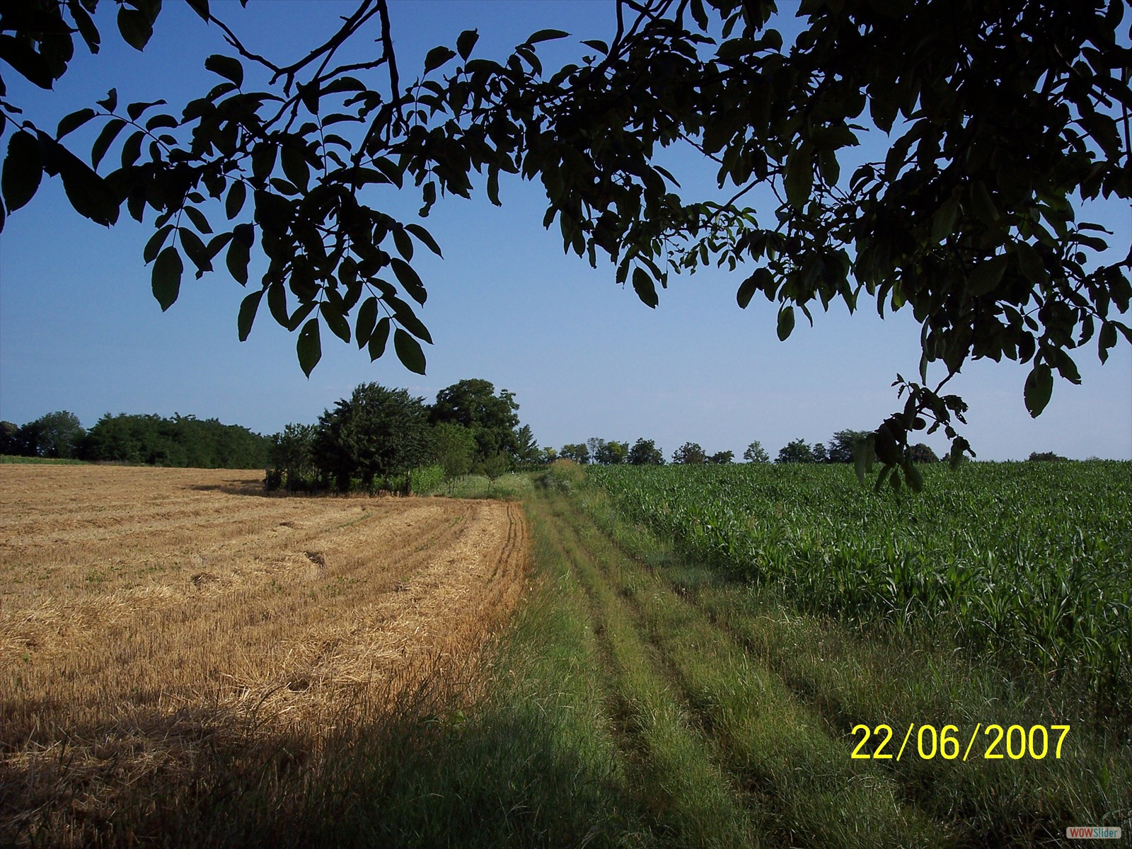 Picture 390