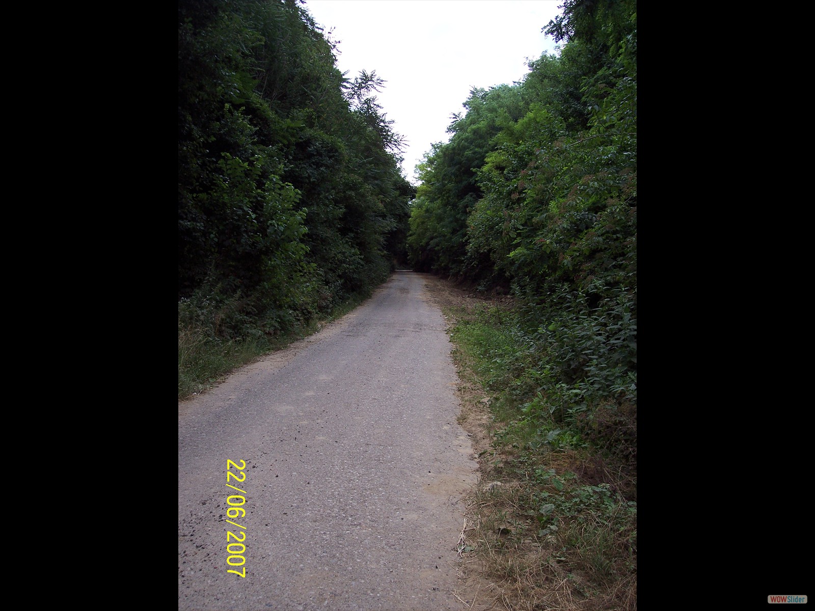 Picture 400