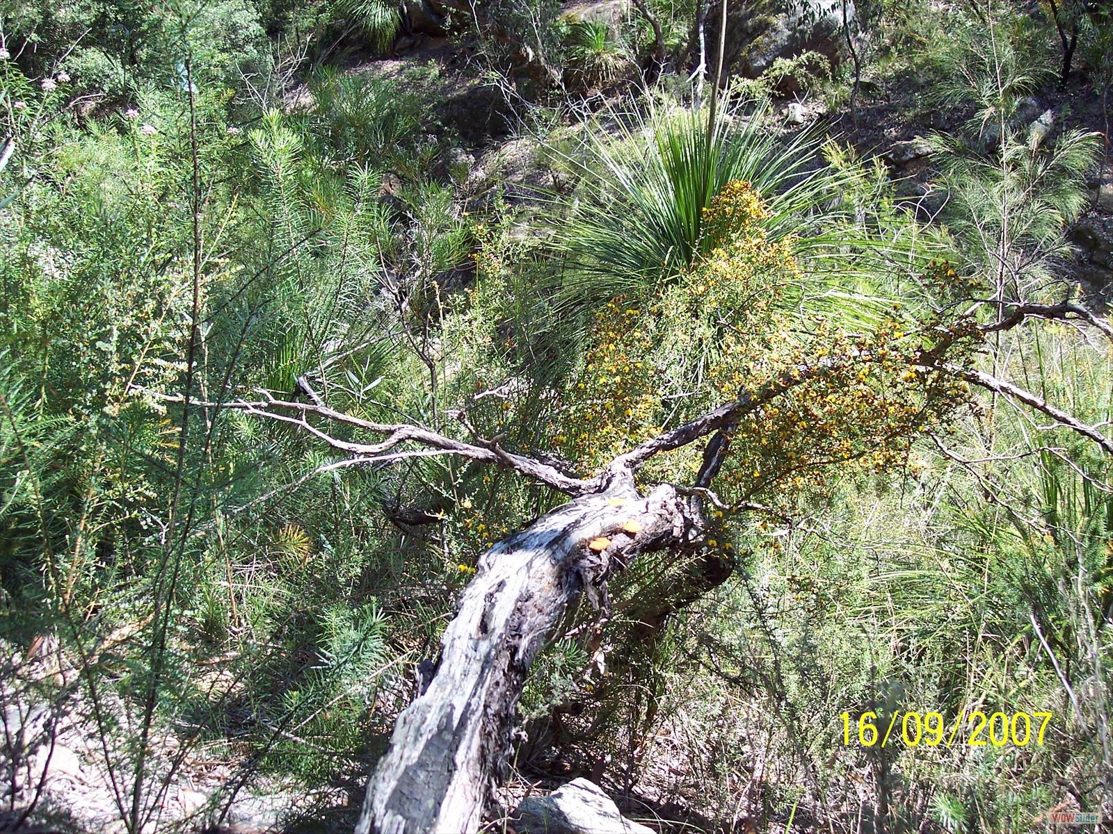 Picture 017