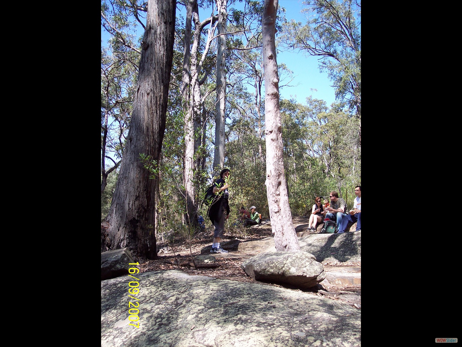 Picture 021