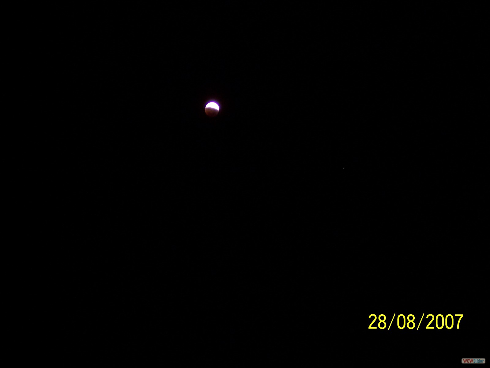 Picture 003