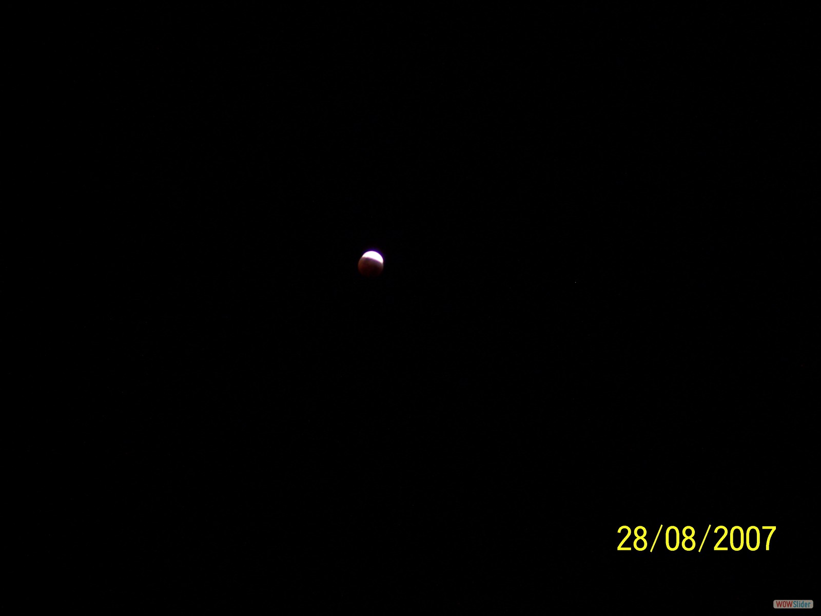 Picture 004