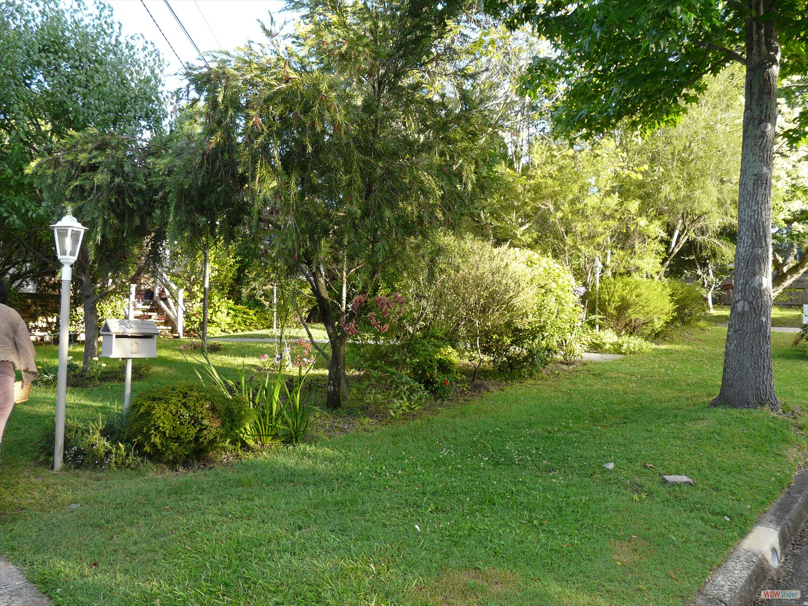 P1000050