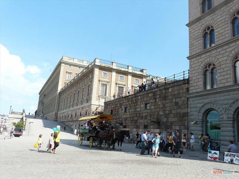 P1020791