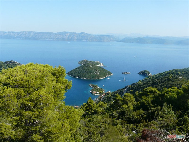 P1020867