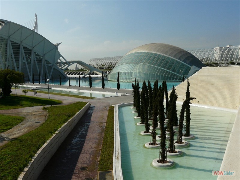 P1030555