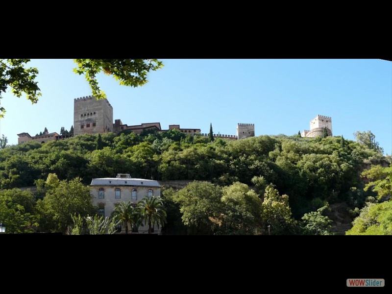 P1030611a