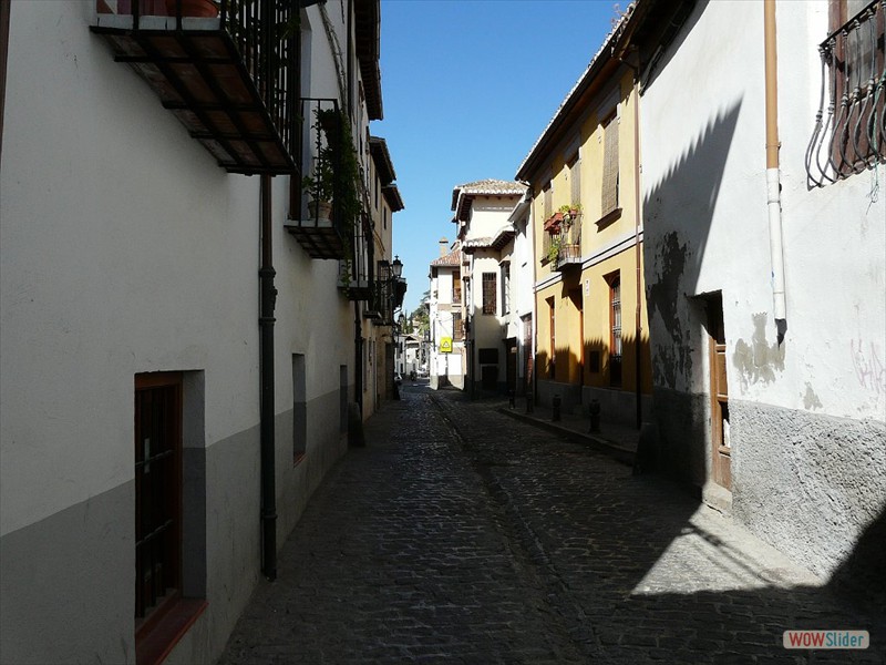 P1030618