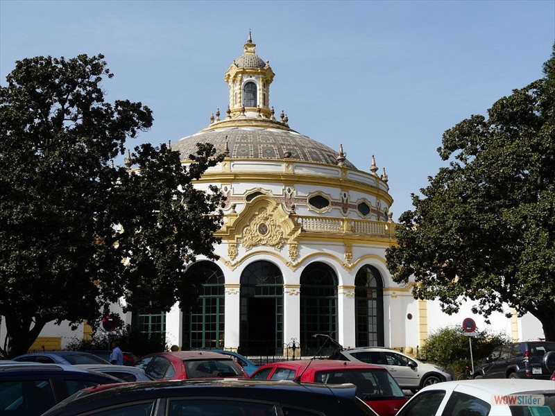 P1030831