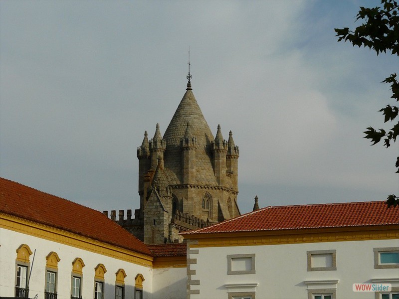 P1040005