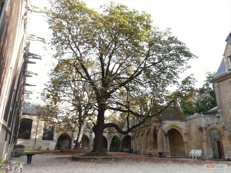 P1040966