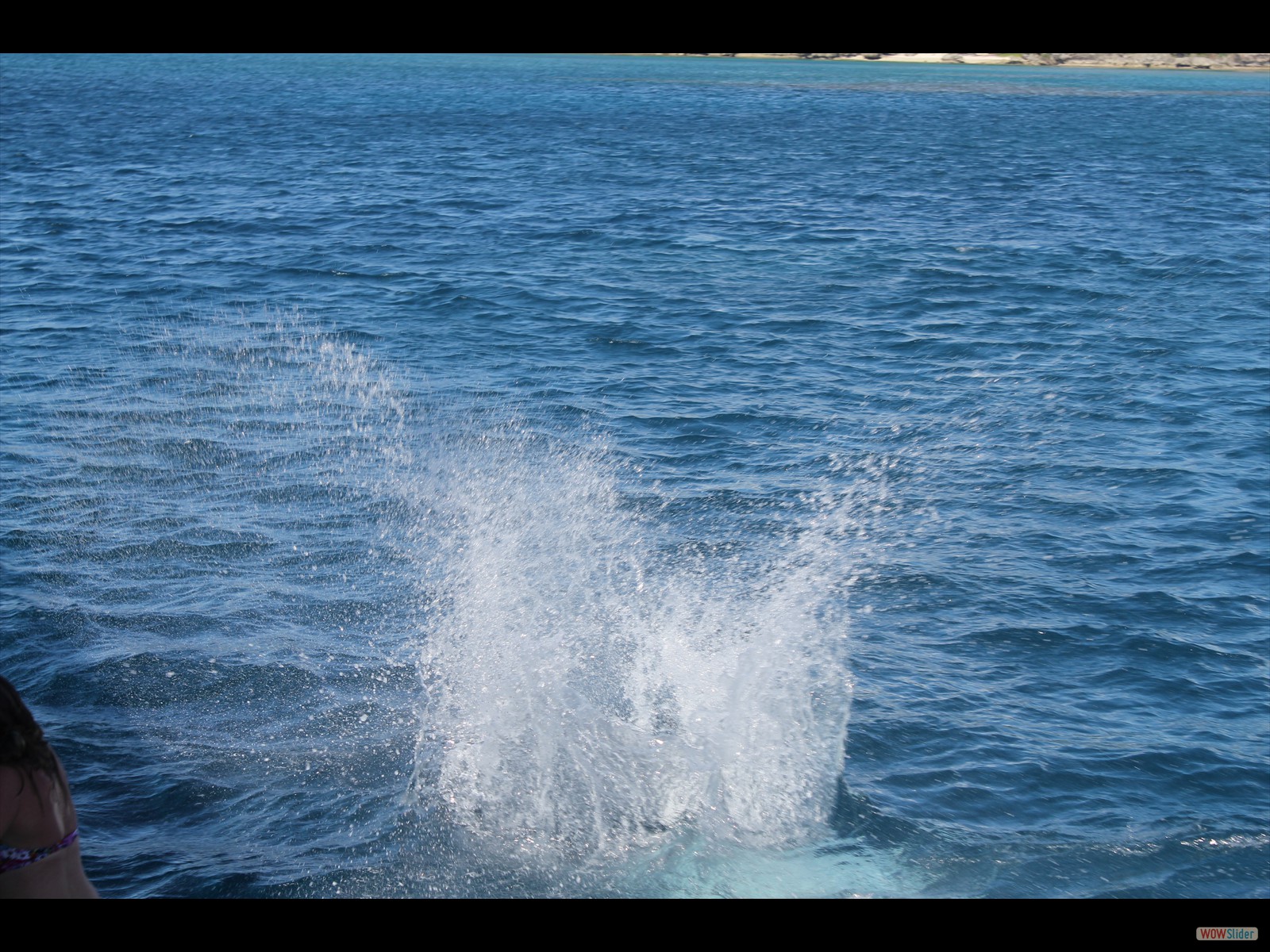 jquery slideshow