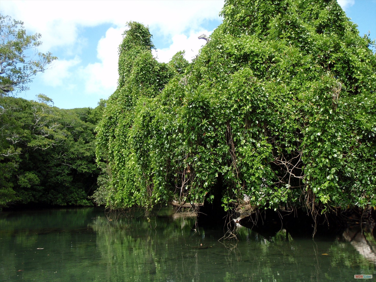 2° part - Kayaking with Ecotours  (10)