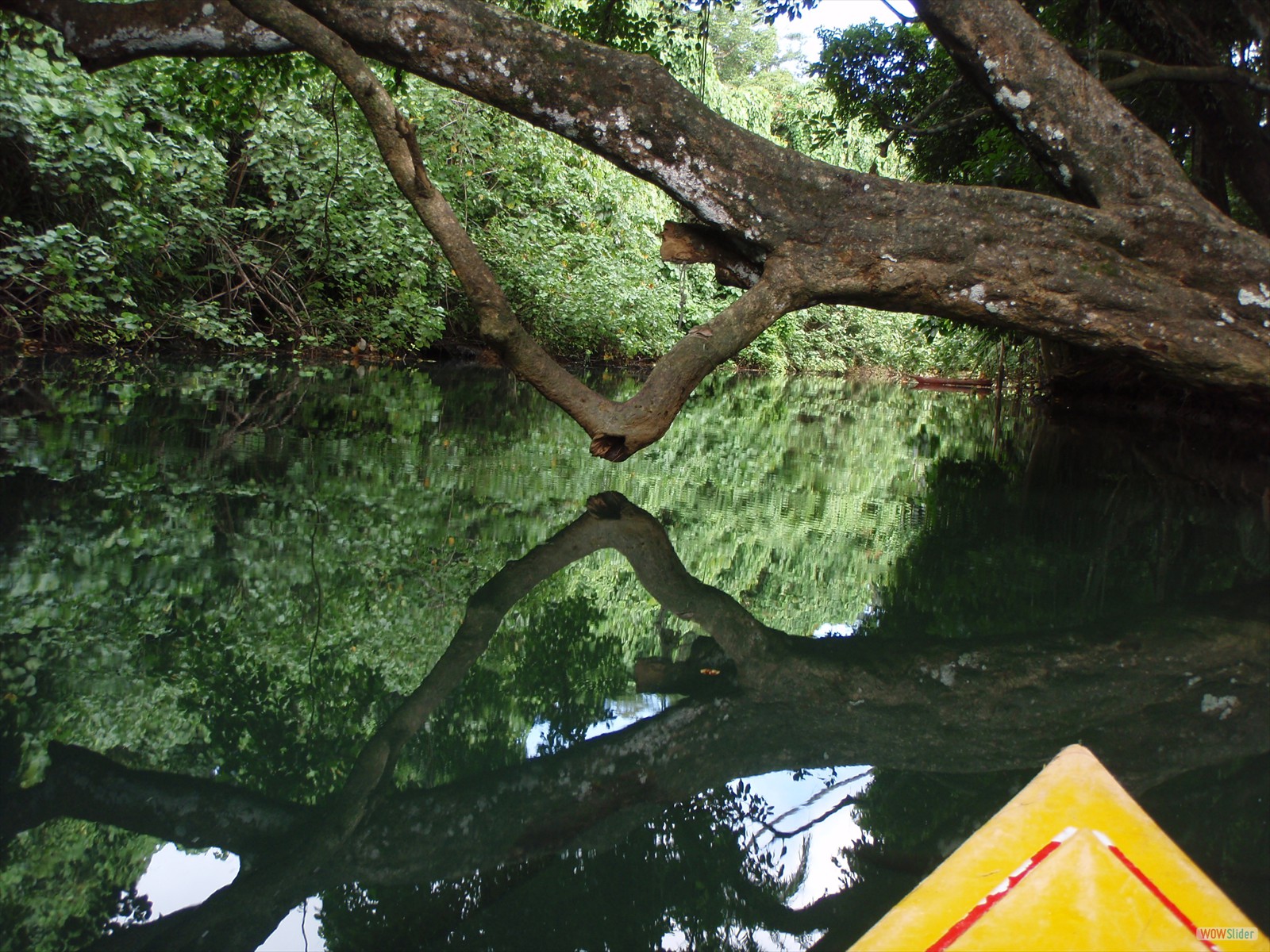 2° part - Kayaking with Ecotours  (12)