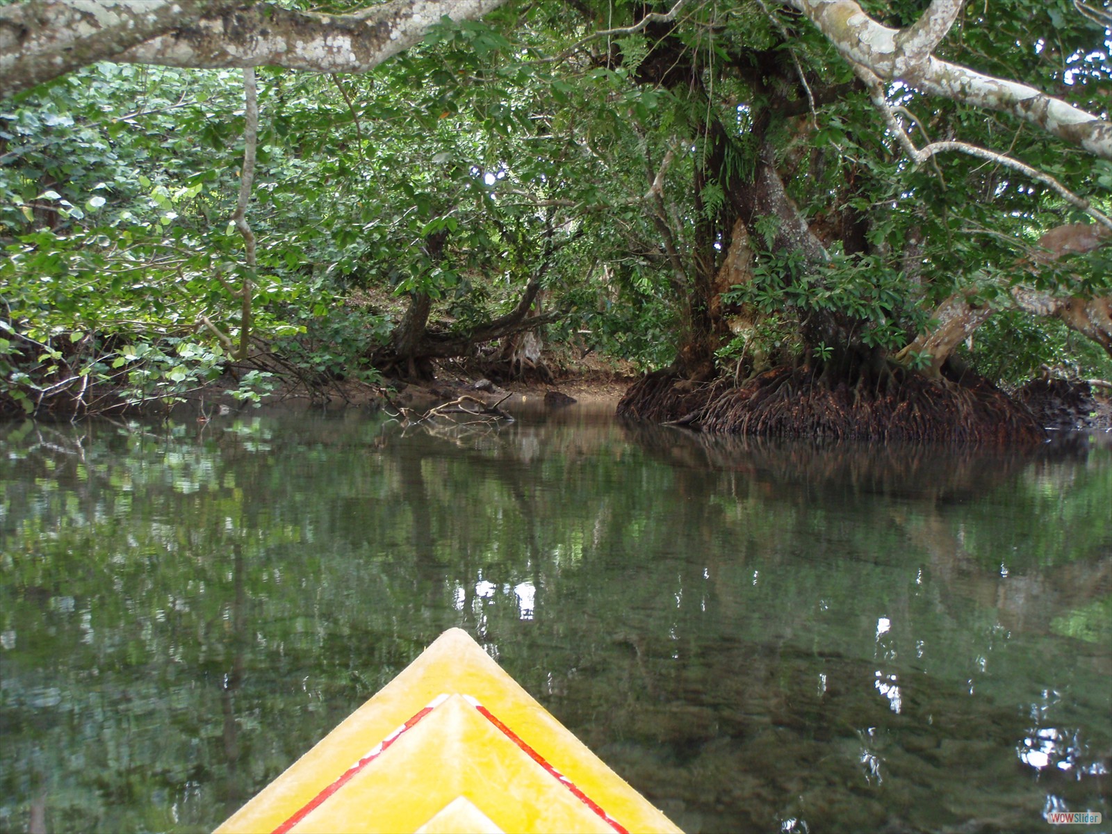 2° part - Kayaking with Ecotours  (13)