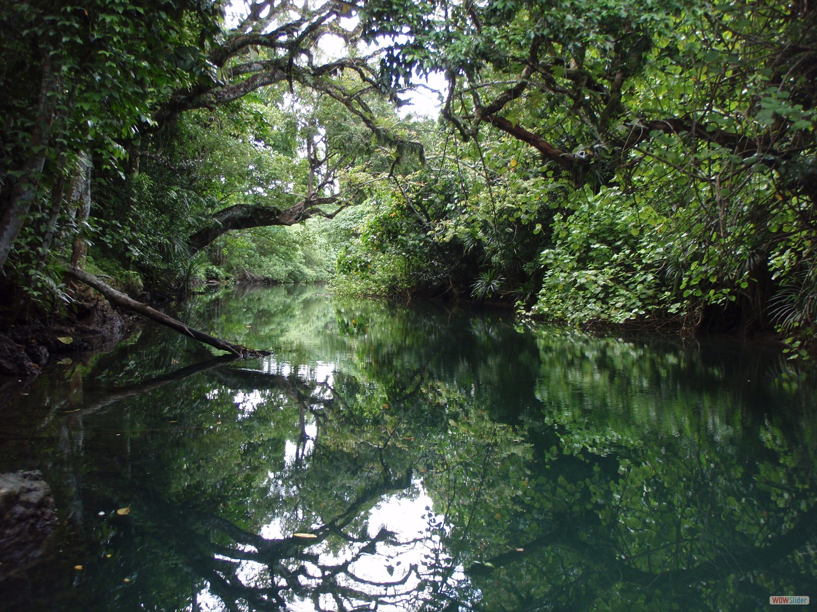 2° part - Kayaking with Ecotours  (16)