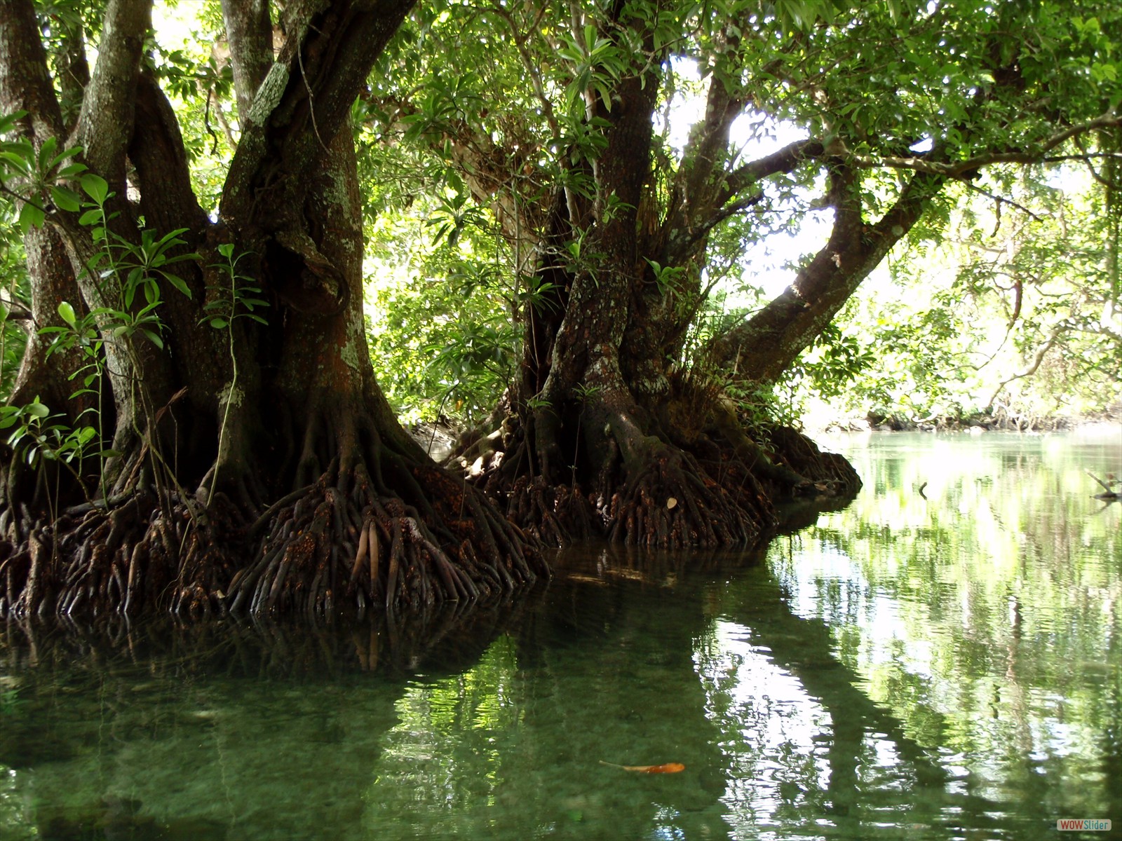 2° part - Kayaking with Ecotours  (18)
