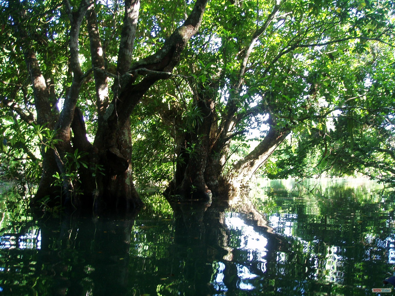 2° part - Kayaking with Ecotours  (19)