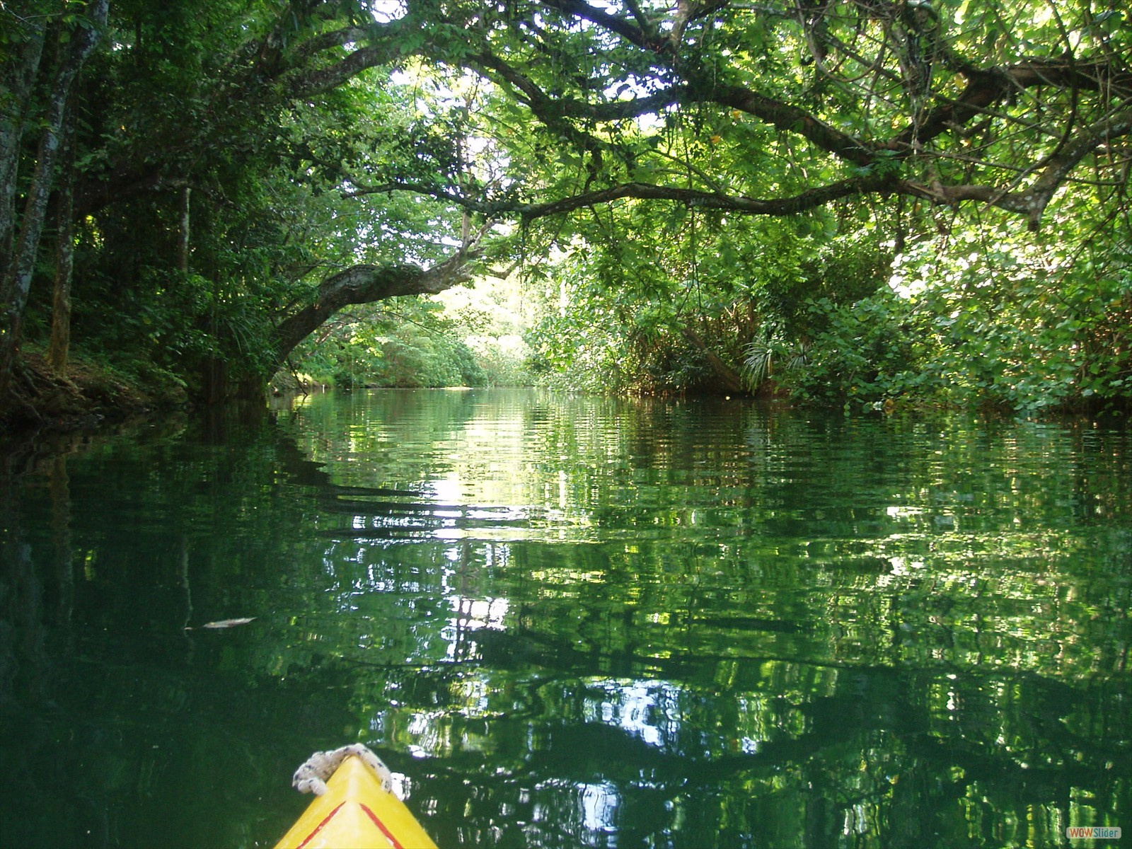 2° part - Kayaking with Ecotours  (20)