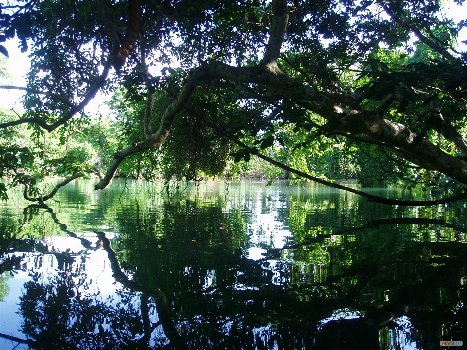 2° part - Kayaking with Ecotours  (21)