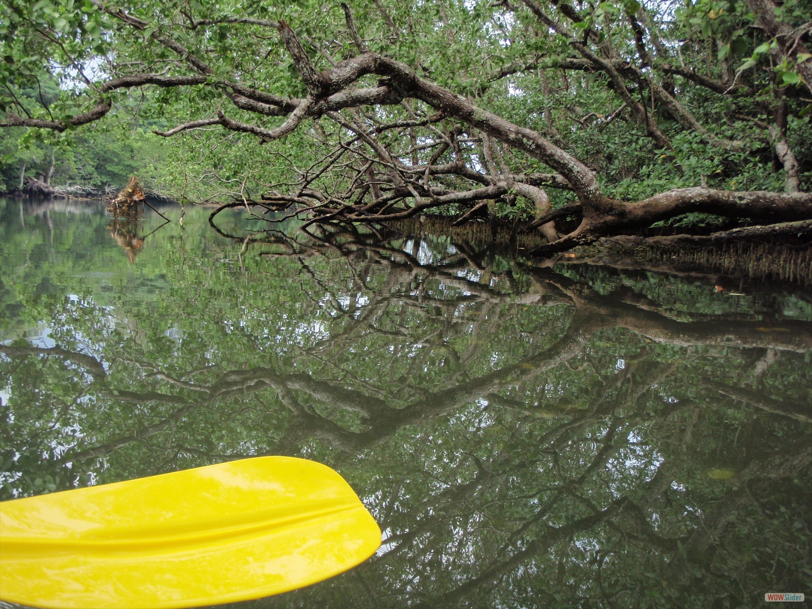 2° part - Kayaking with Ecotours  (42)