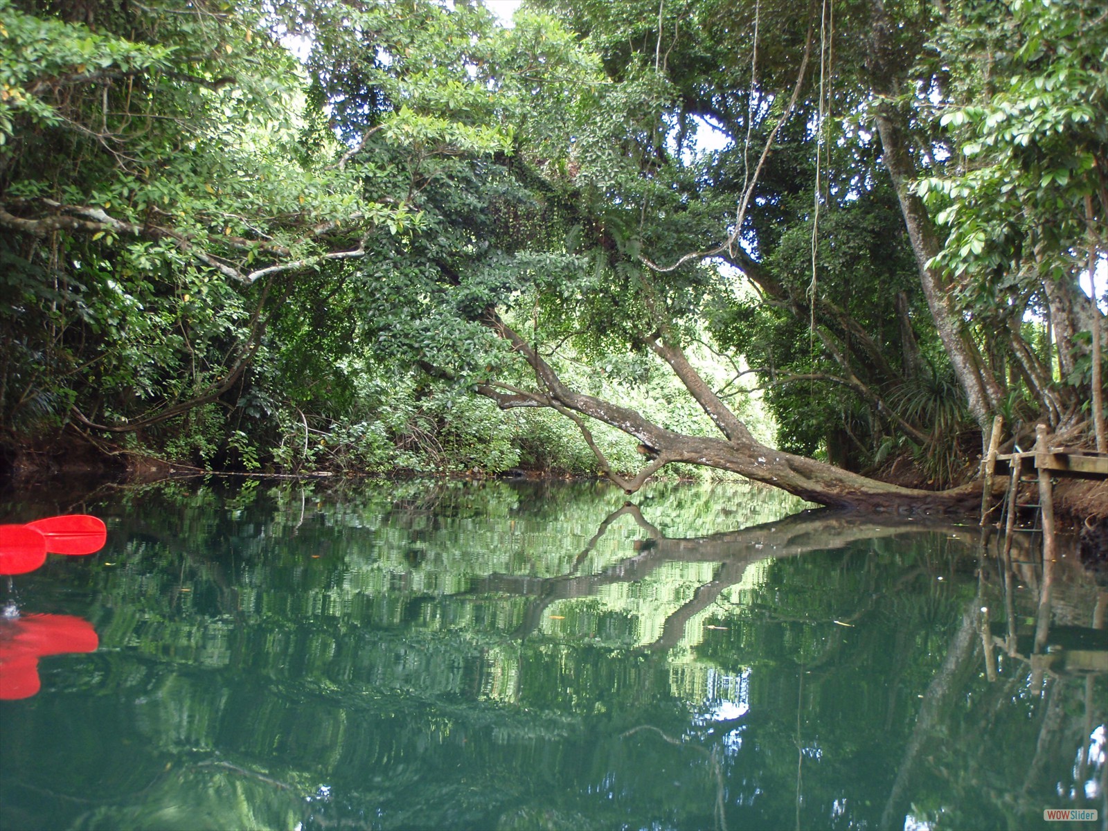 2° part - Kayaking with Ecotours  (5)