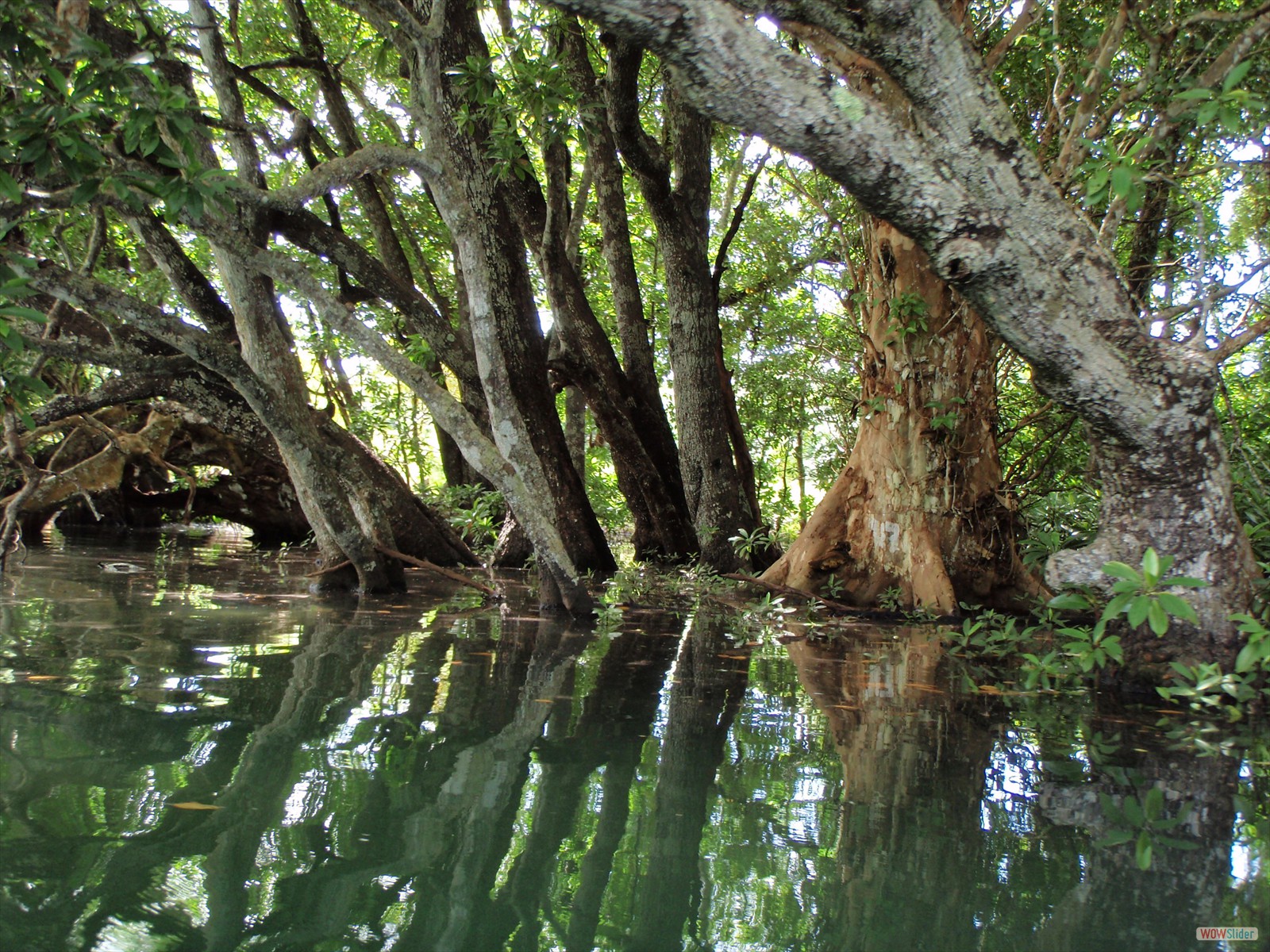 2° part - Kayaking with Ecotours  (6)