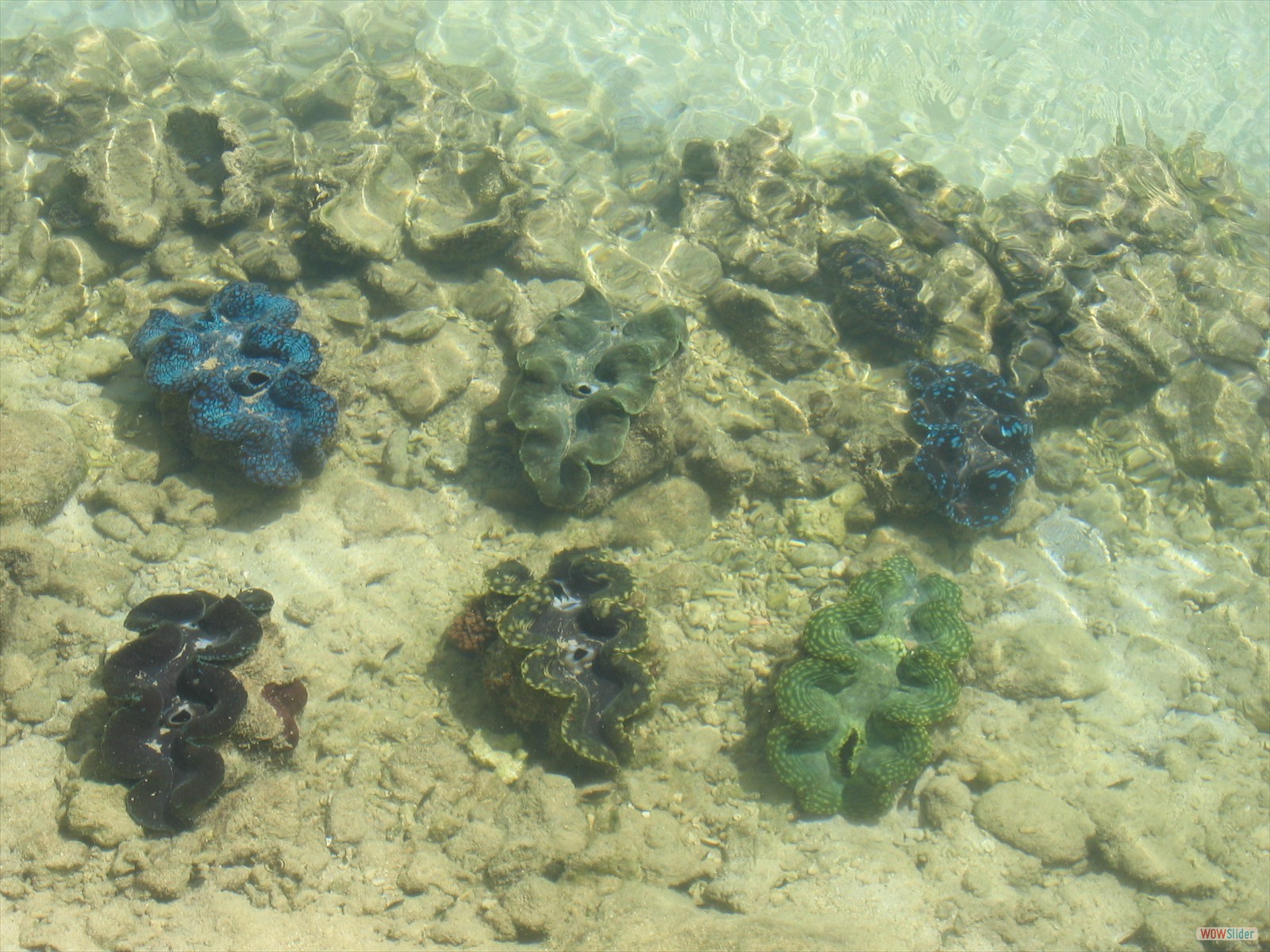 4° part - Kayaking with Ecotours  (20)