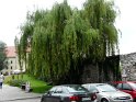 P1050577