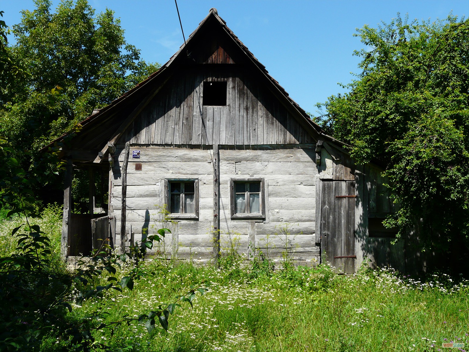 P1060423