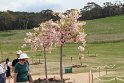 IMG_4173