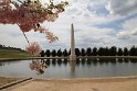 IMG_4175