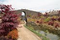 IMG_4182