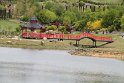 IMG_4186