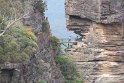 IMG_4225