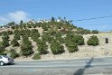 IMG_1568