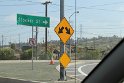 IMG_1569